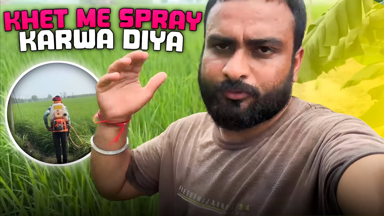 आज खेत में spray करवा दिया !! 