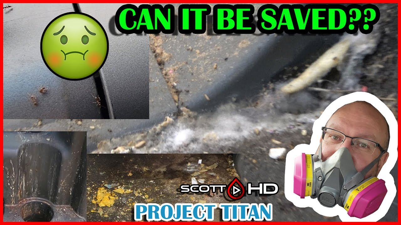 NASTIEST interior - Ants Mold Vomit Milk THE SMELL! - Project Nissan Titan - Can it be Saved? PART 1