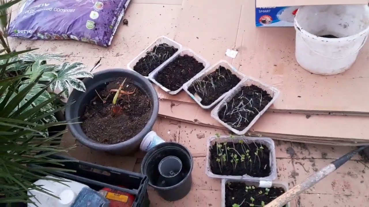March garden tips