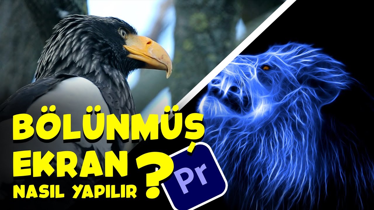 BÖLÜNMÜŞ EKRAN ( SPLIT SCREEN ) | Premiere Pro Dersleri