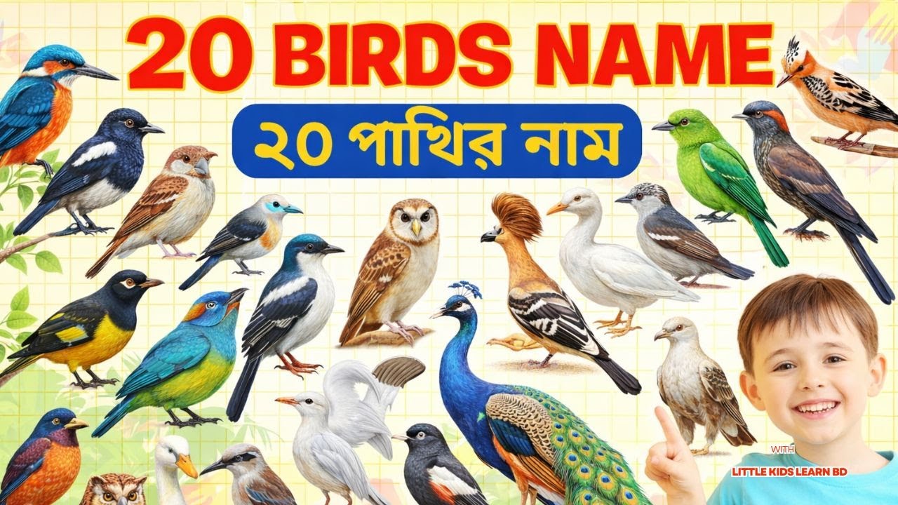 ২০টি পাখির নাম শিখ | Learn 20 Birds Names for Kids English Vocabulary Preschool Kindergarten