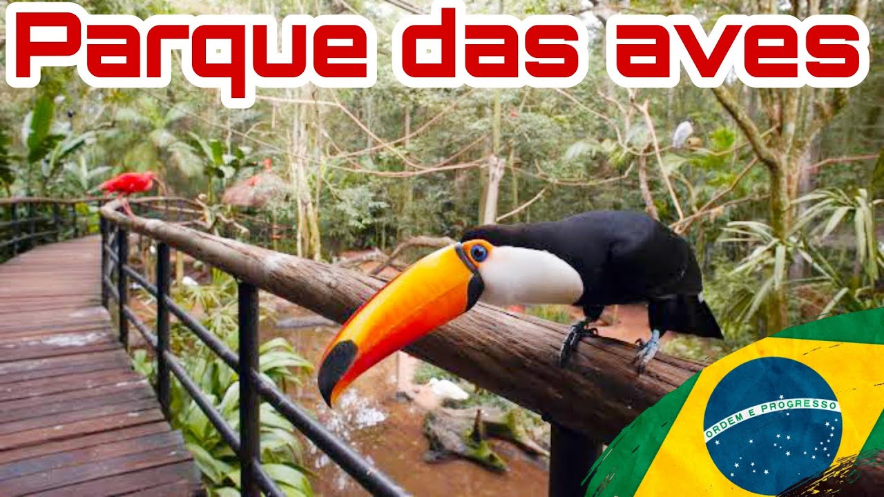 Parque Das Aves BRASIL🇧🇷 2021 turismo en Foz, ❌Sin poder volver a Iguazu Argentina🇦🇷❌.
