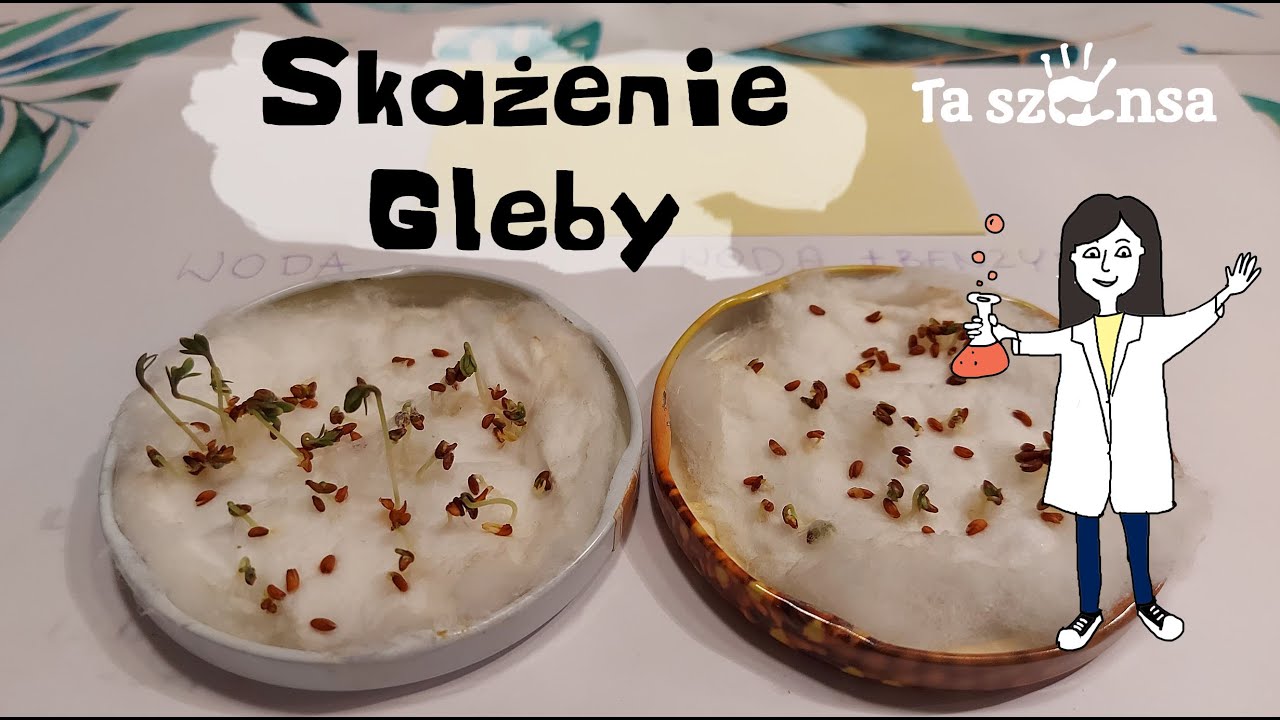 Skażenie Gleby - Poczuj chemię z Tą Szansą BIS
