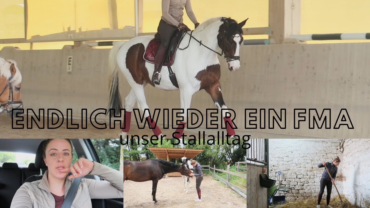 ENDLICH wieder ein FMA - unser Stallalltag | cubilox vlogs