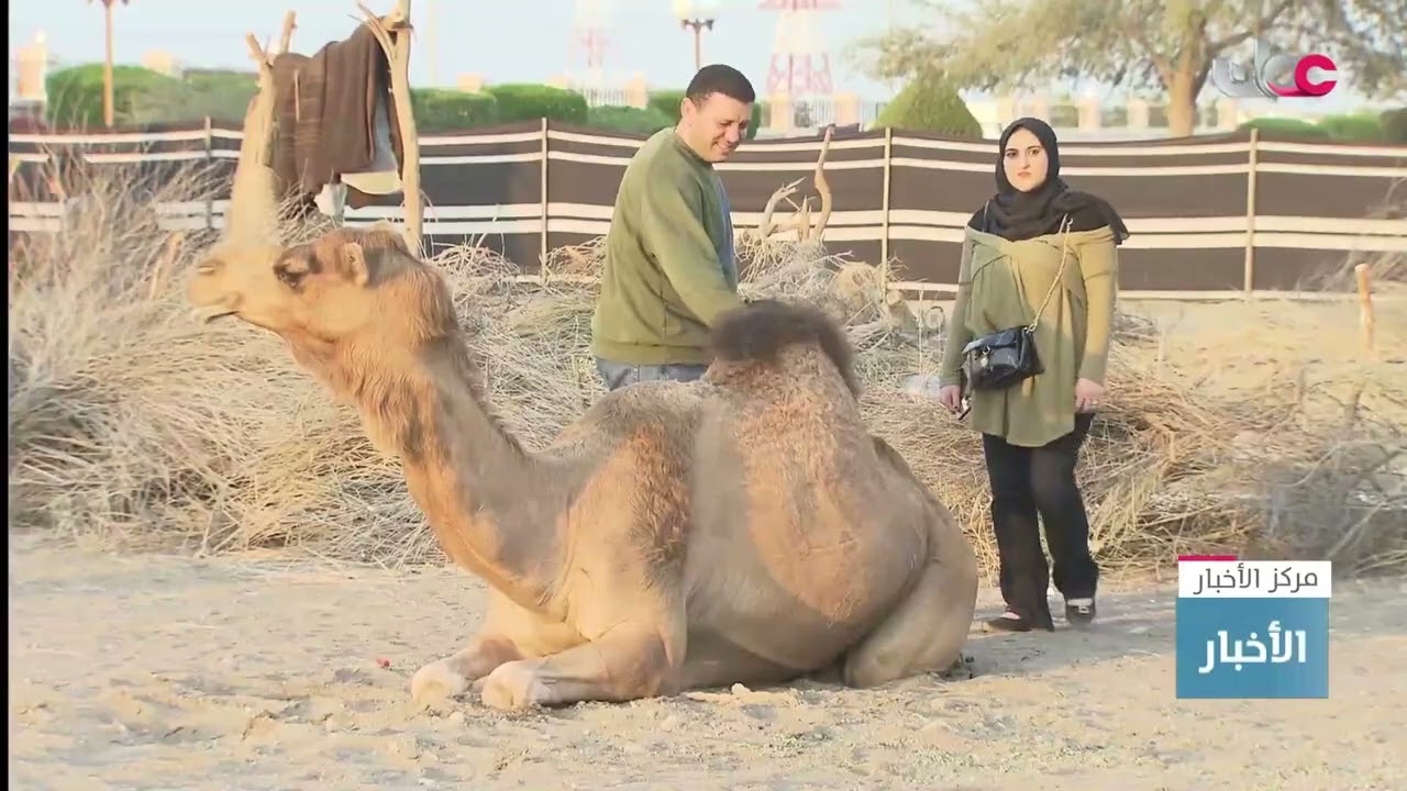 تقرير |  القرية البدوية بمهرجان صحار تجذب عديد من الزوار.