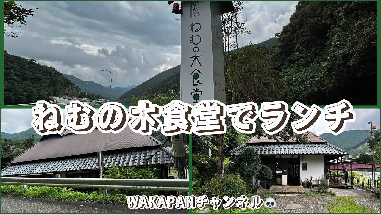 ねむの木食堂でランチ❤️WAKAPANチャンネル🐼