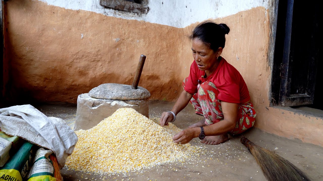 jungle family grinding maize rice || primitive technology in the village @junglefamily