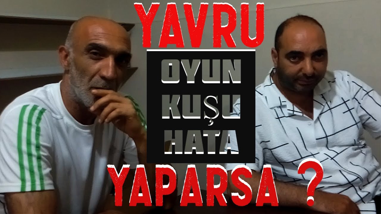 YAVRU OYUN KUŞU HATA YAPARSA NE YAPMAK GEREKİR ? |OYUN KUŞU SEYİSLİĞİ|