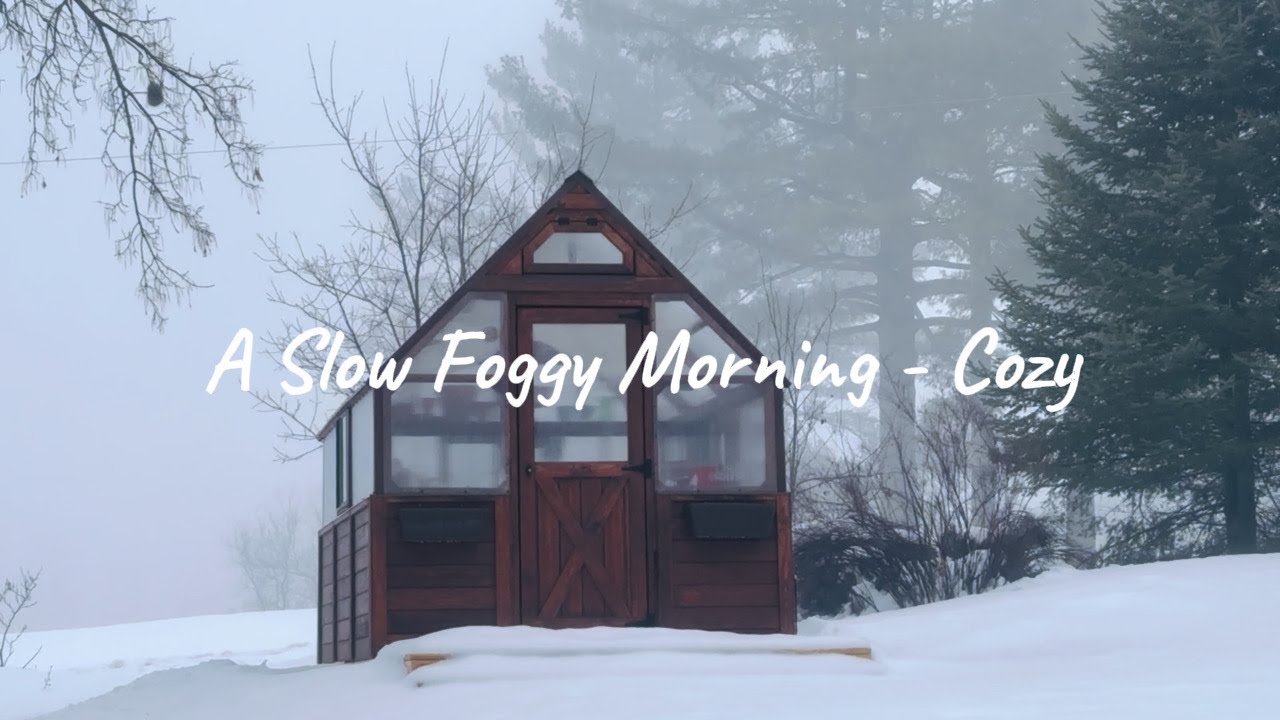 A Cozy Foggy Morning ~ at Maplewood