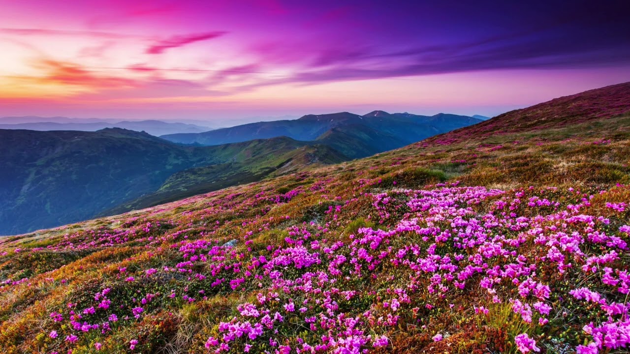 Day 8: Spiritual Guidance Challenge, into the silence and listen 