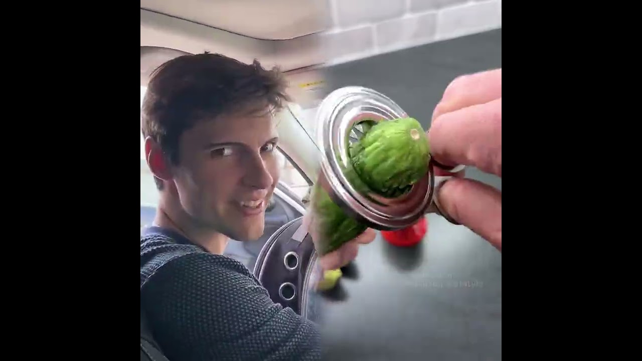 🤣👌👌👌2025 pov Must-Watch Crazy Clips Compilation #humor #fypシ #pov #fyp #foryou