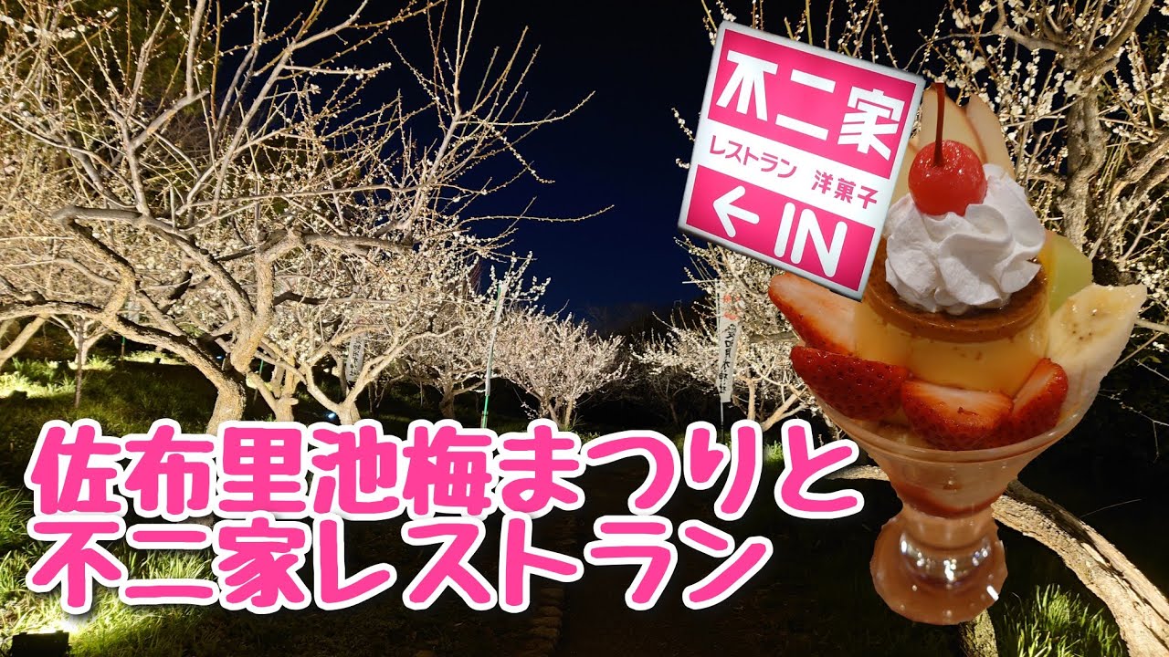 ぼっち女が知多市梅まつりお散歩✨その後は不二家レストランへ！