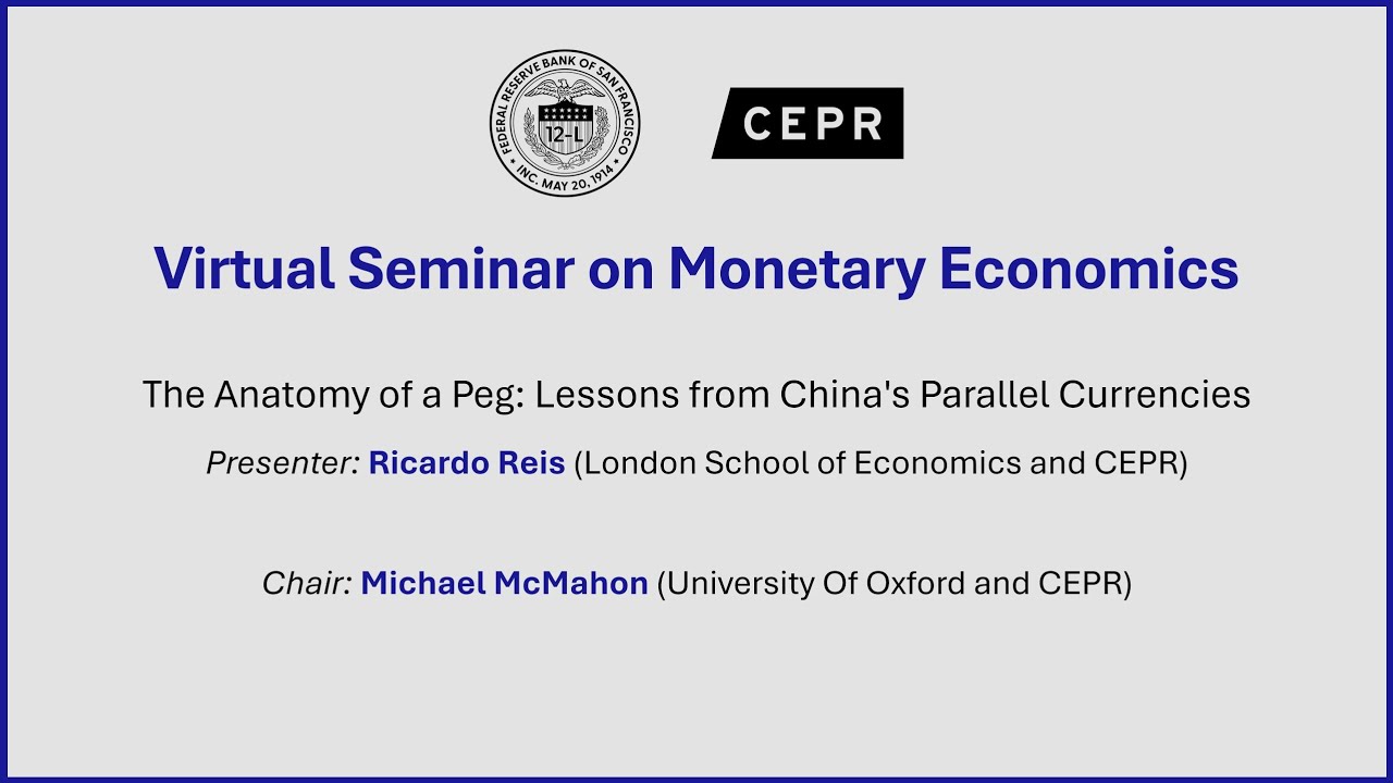 Virtual Seminar on Monetary Economics - Ricardo Reis (London School of Economics and CEPR)