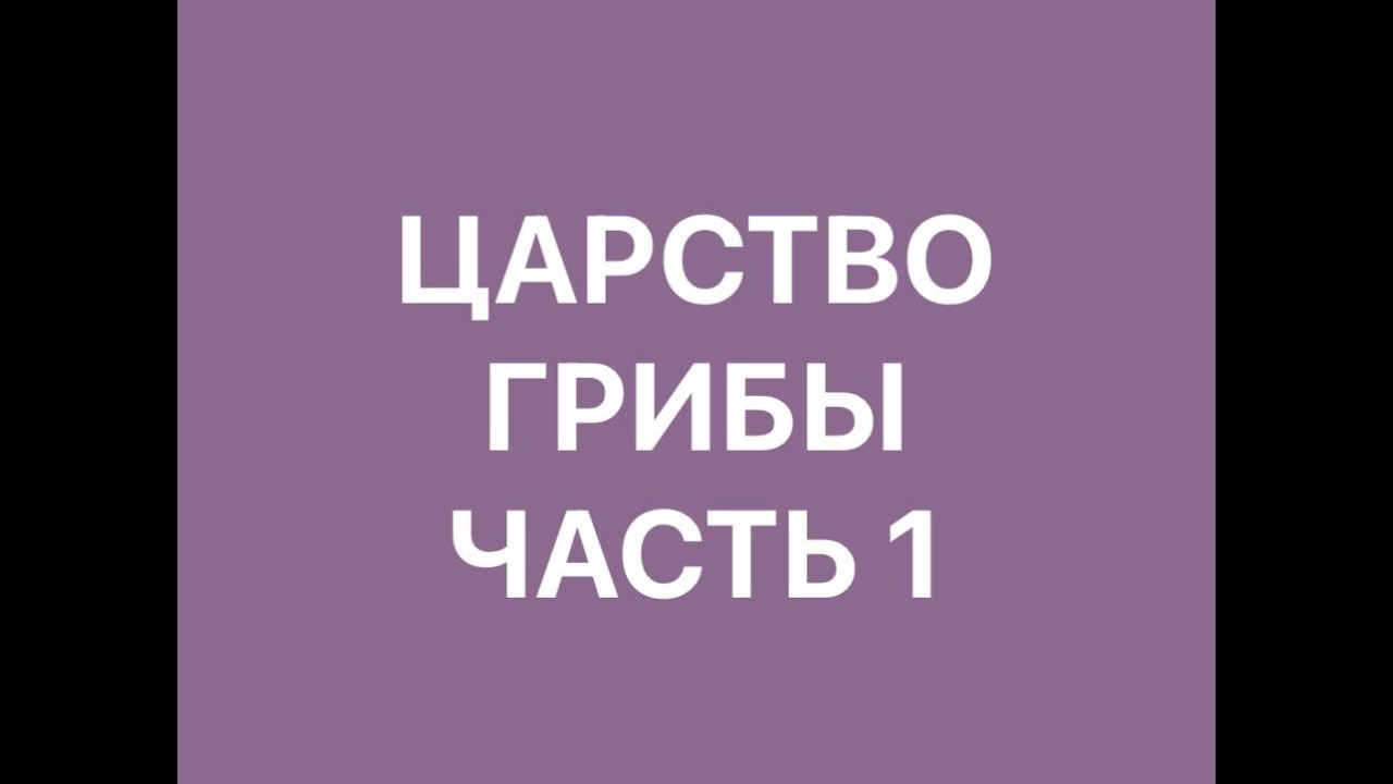 ГРИБЫ ЛЕКЦИЯ 1