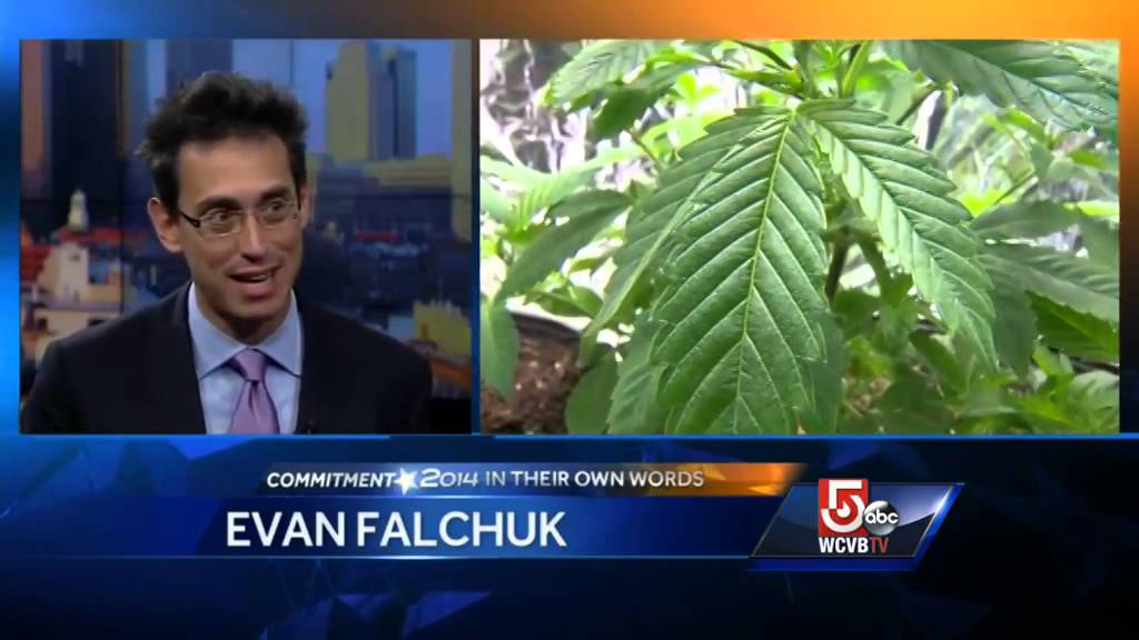 In Own Words: Evan Falchuck on marijuana