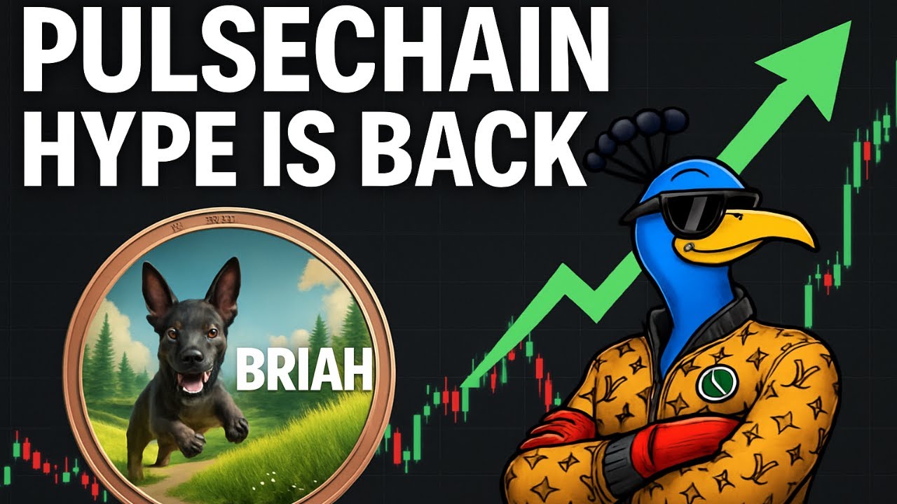 PulseChain Meme Coins & Alts Exploding! What&rsquo;s Fueling This Pump?