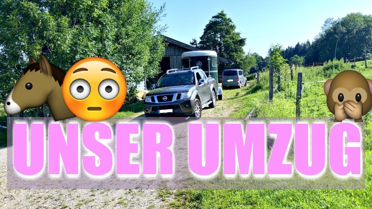 UNSER UMZUG STALLWECHSEL I MEIN ERSTES EIGENES PFERD ZIEHT UM