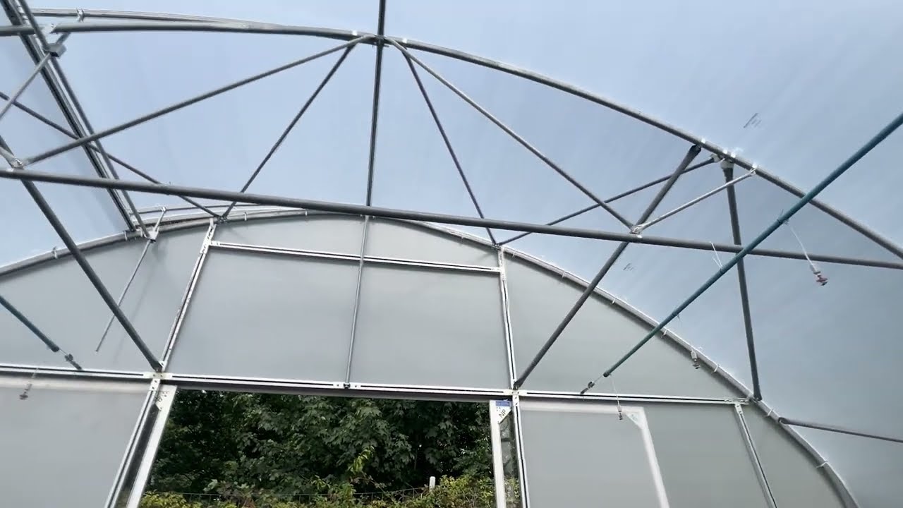 EnviroPro Single Span Commercial Polytunnel Walkaround | Northern Polytunnels