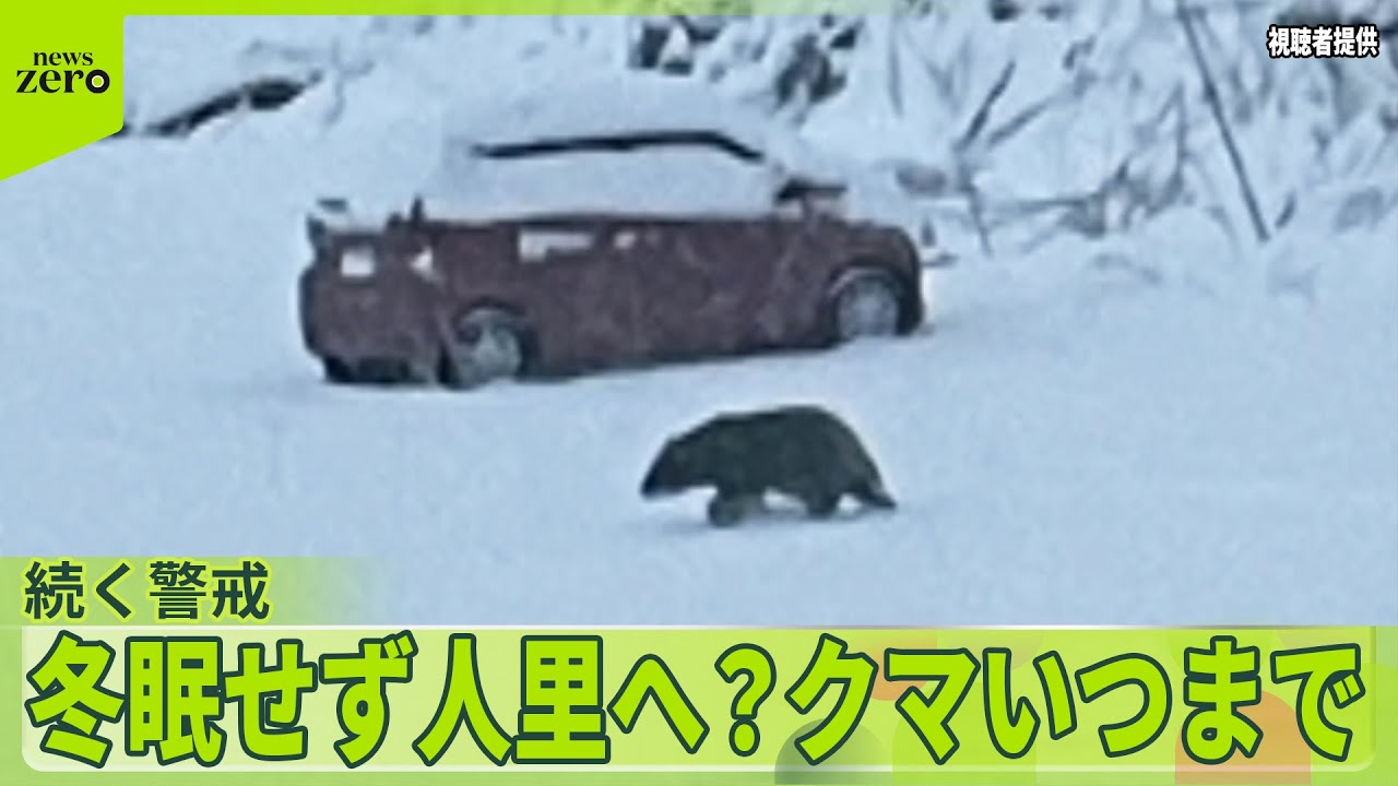 【家の前で「悲鳴」】冬本番もクマ出没…冬眠せず人里へ？