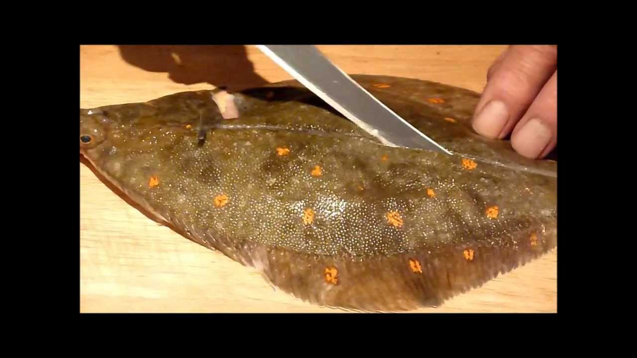 Filleting a plaice