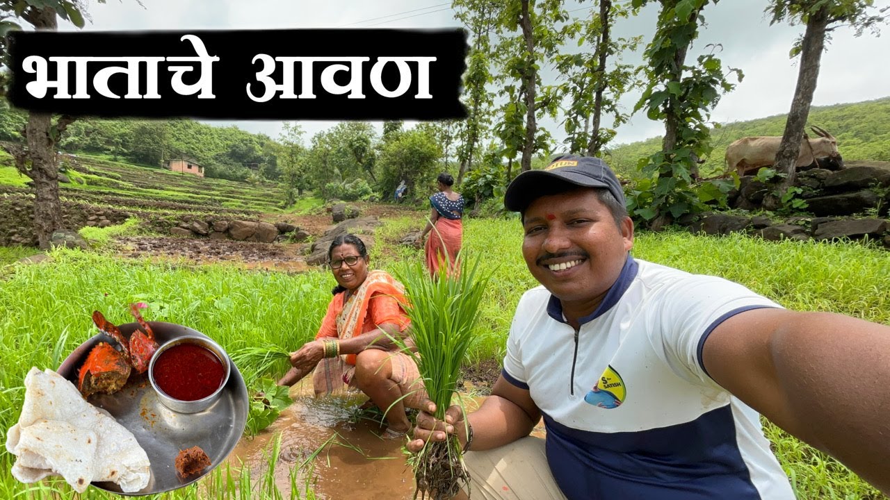 आईसोबत गेलो सासुरवाडी आवण खणायला 😍| निसर्गाच्या सानिध्यात केले जेवण | S For Satish | Ambavali, Kokan