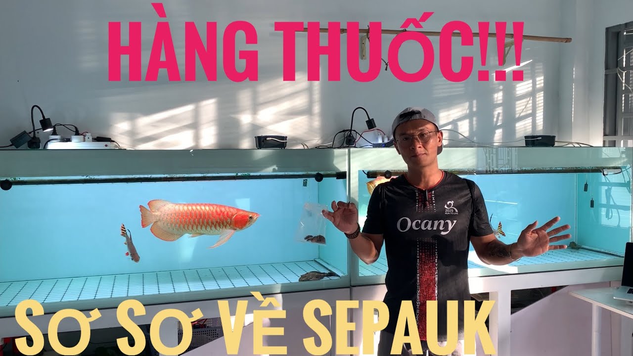 Huyết Long Phông Trắng - chơi hàng THUỐC, ae nên lựa DÀY và THẲNG