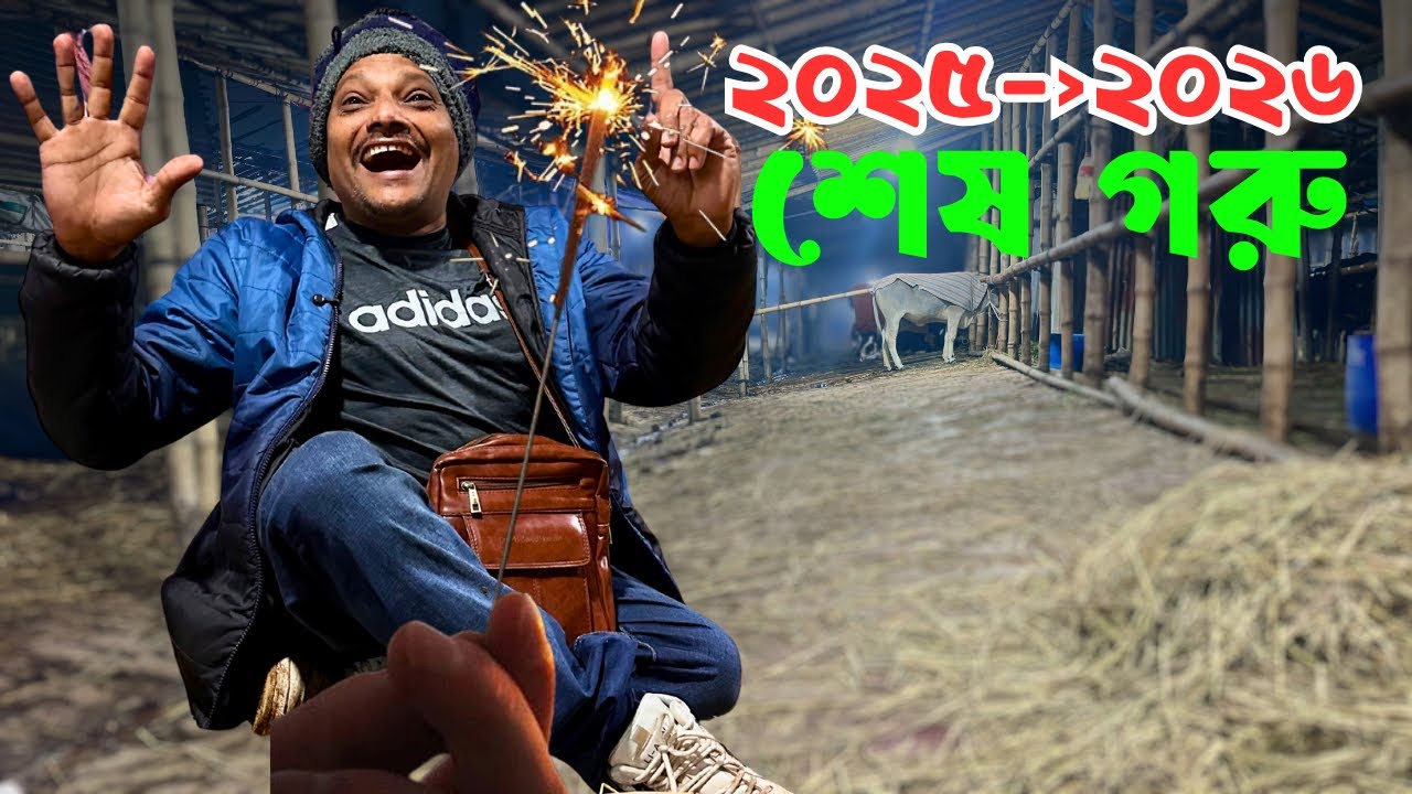 ২০২৫ শেষ, ২০২৬ শুরু গাবতলী হাটে! ১ লাখ ২৯ হাজারে শেষ গরু | Akram Vai Year End Cattle Buy
