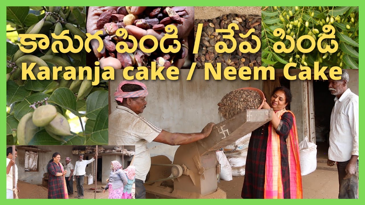 Neem Cake / Karanja Cake Processing Unit/ Neem oil / Karanja oil for plants/ వేప పిండి/ కానుగ పిండి