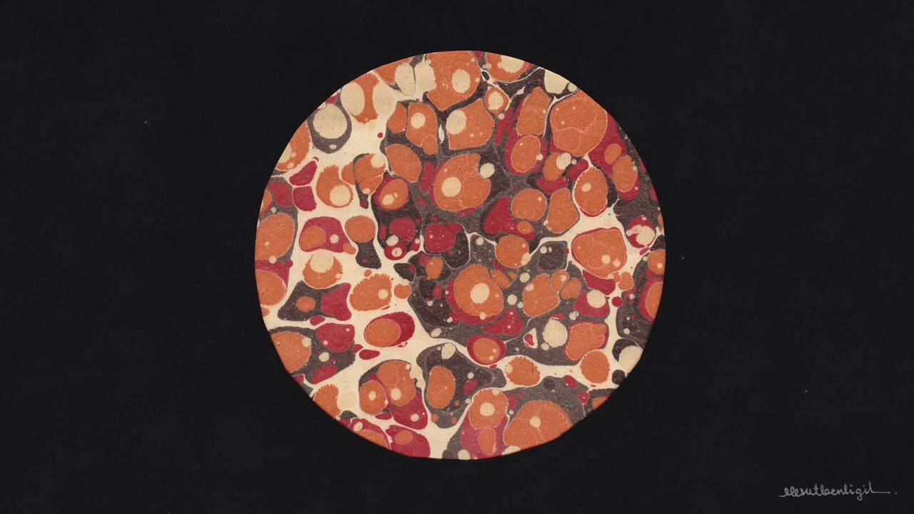 TARIS - Hamira