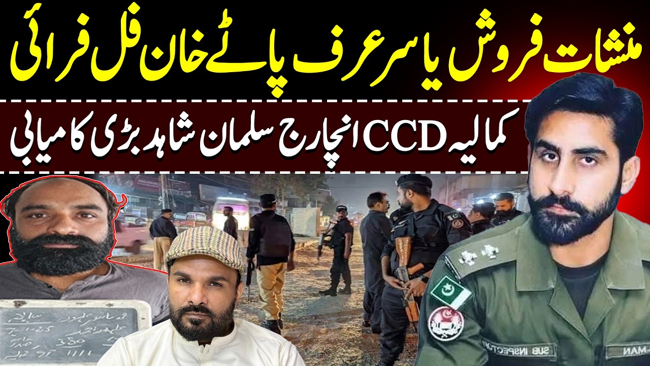 CCD Kamaliya Yasir Urf Patte Khan Full Fry || CCD Incharge Salman Shahid || Shaan Pakistan