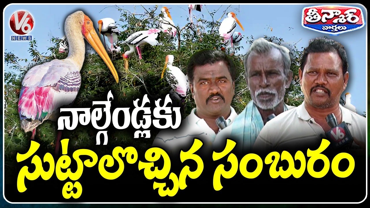 Siberian Birds Return to Khammam After 4 Years | V6 Teenmaar