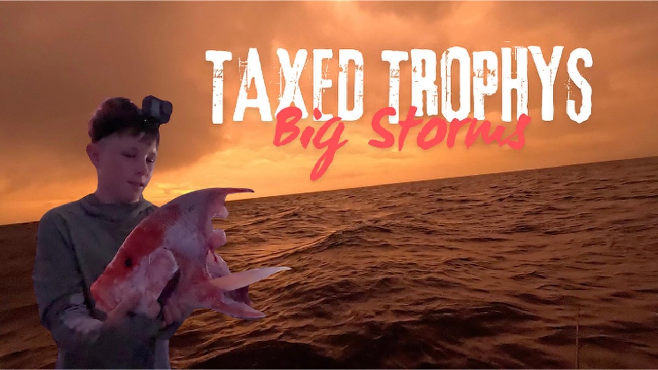 Taxed Trophys Big Storms