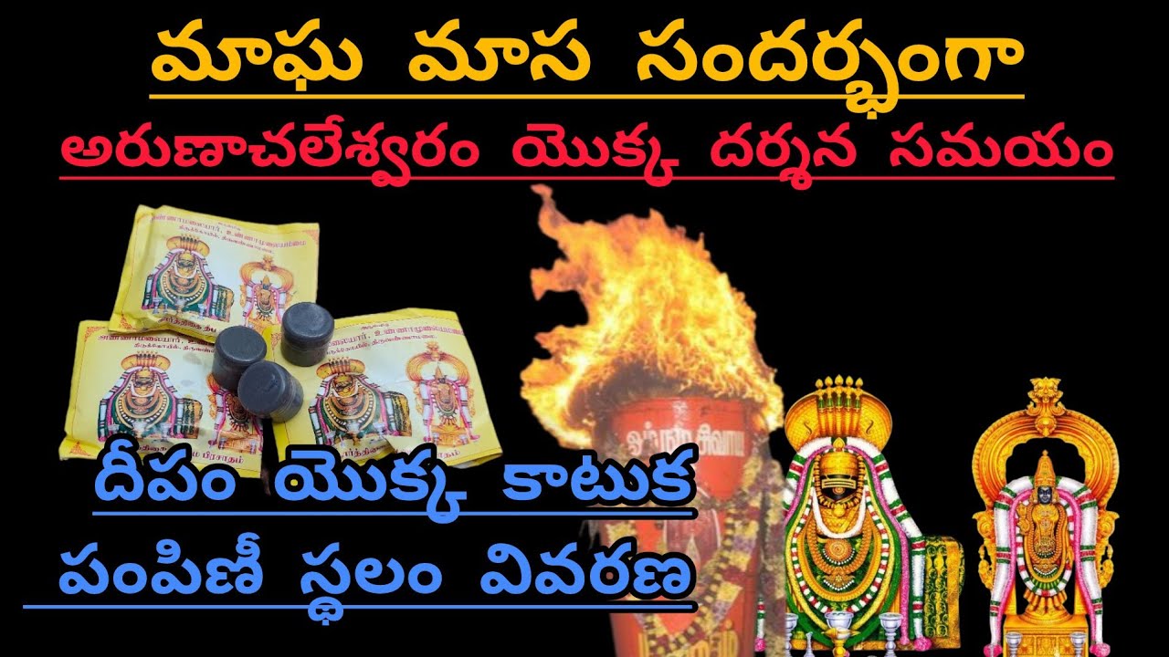 అరుణాచలేశ్వర స్వామి వారికి దర్శనానికి ఎంత సమయం పడుతుంది మాఘ మాస సందర్భంగా 