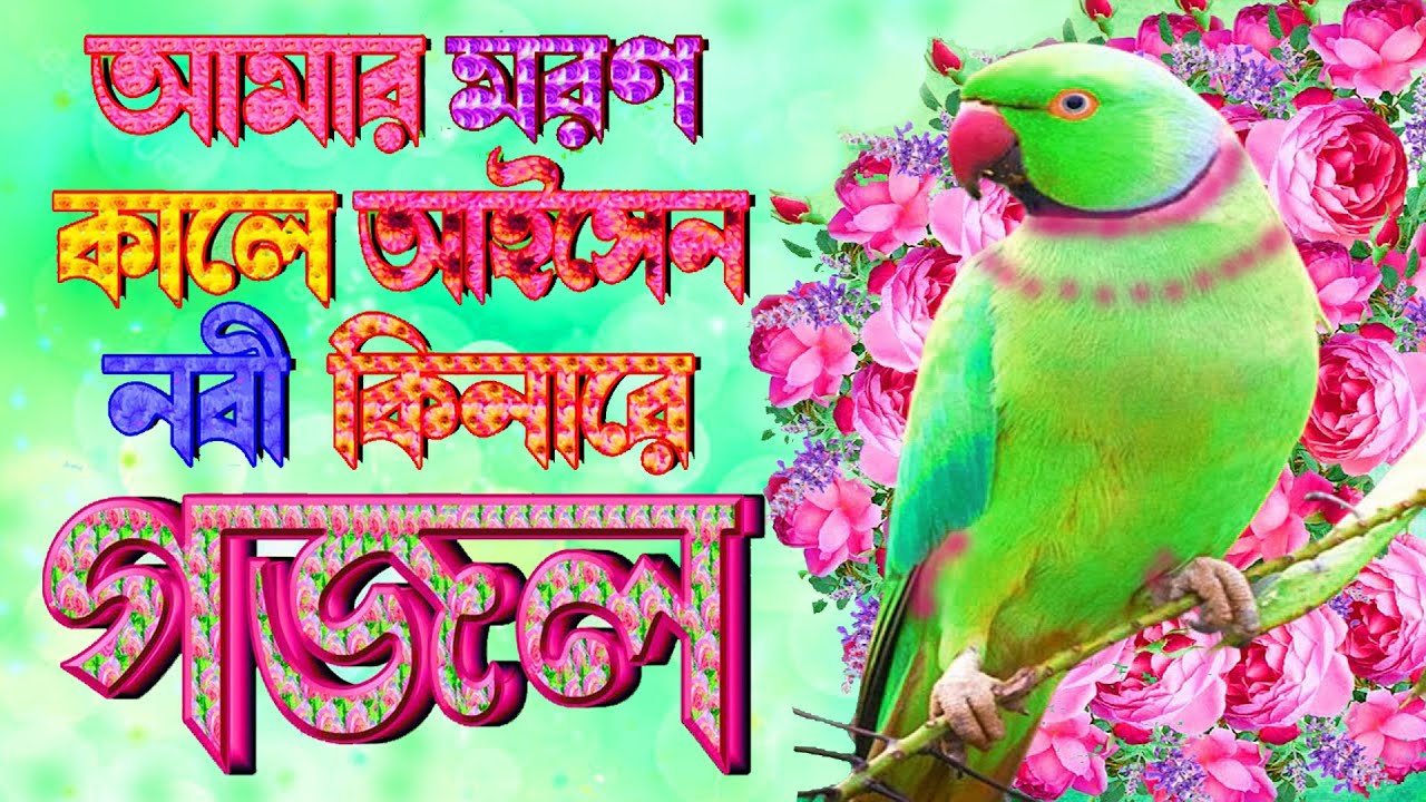 মায়াবী কন্ঠে হৃদয়স্পর্শী মরমী গজল |একবার শুনলে বার বার শুনতে মন চাইবে |Amar Moron Kale Gojol Gajal
