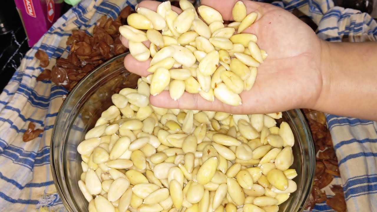 طريقه ديال تقشير د اللوز مع الاسرار باش دغيا تقشر مع كل اللوز
