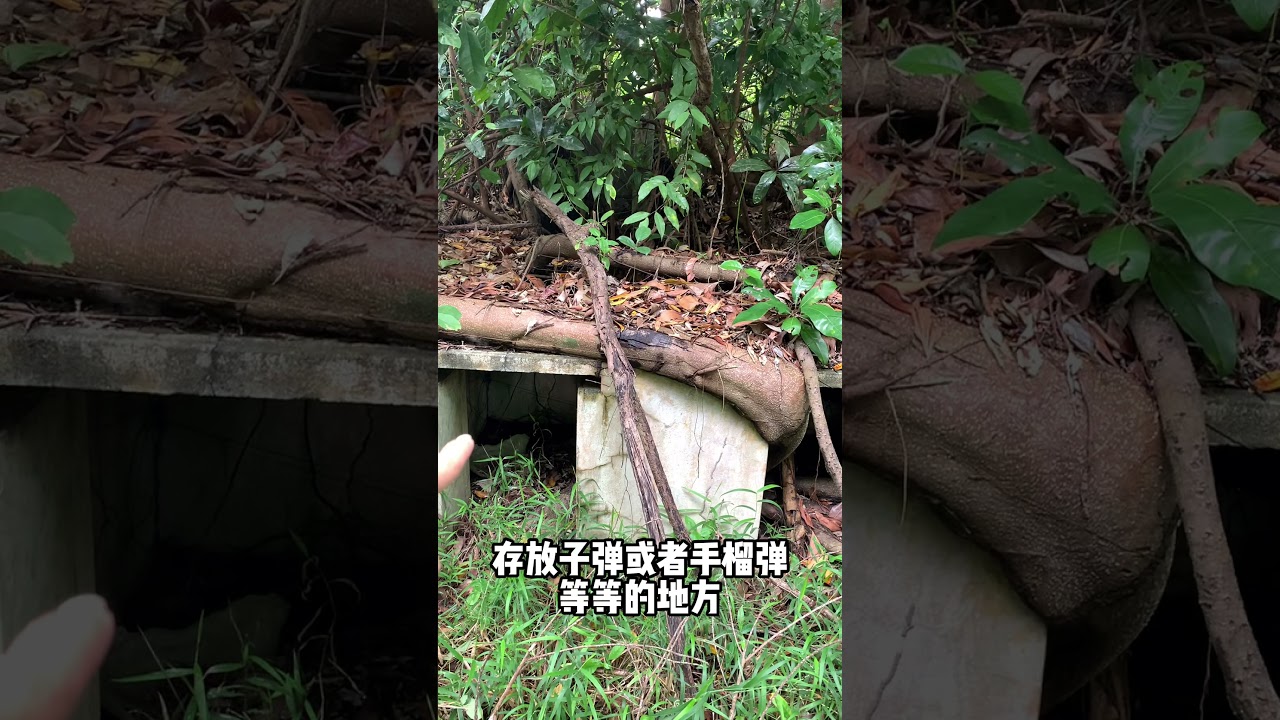 1941年世界第二大战历史史迹&hellip;我相信战争的地方都会有鬼魂的存在&hellip;历史史迹还能找到和看到其实算是很幸运了