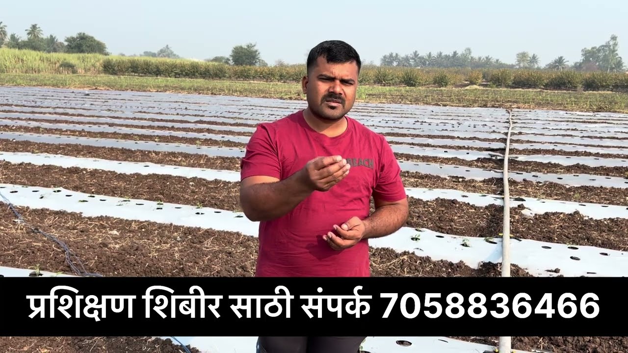 ताक अंडी आधारित कृषी प्रदर्शन आणि प्रशिक्षण, ताक अंडीवर घेतली ४० पिके - तुम्हीही करू शकता 