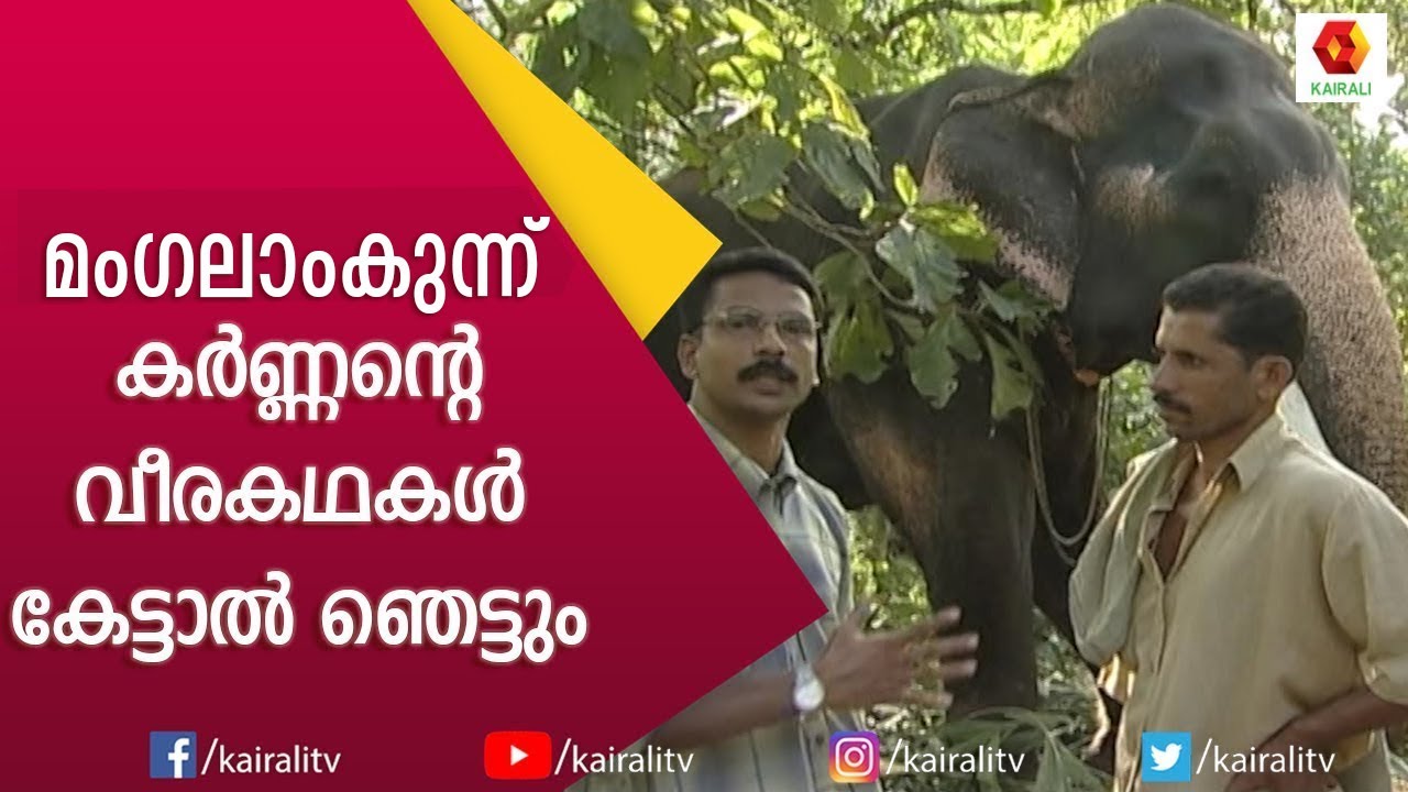 ഏറ്റവും കൂടുതൽ പ്രതിഫലം പറ്റുന്നവരിൽ ഒരാളാണ് കർണ്ണൻ | E4 Elephant | Kairali TV