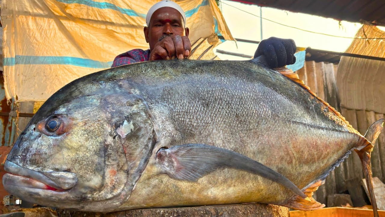 KASIMEDU TREVALLY FISH 🐟 CUTTING VIDEO \ CUTTING FOCUS