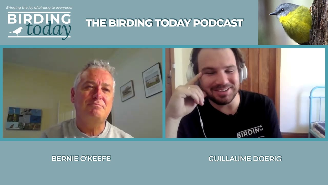THE BIRDING TODAY PODCAST S1 EP. 9 | Quest For The Princess Parrot | BERNIE O'KEEFE