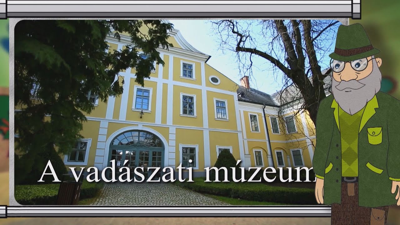 Erdő Ernő bácsi meséi - Mit láthatunk a vadászati múzeumban?
