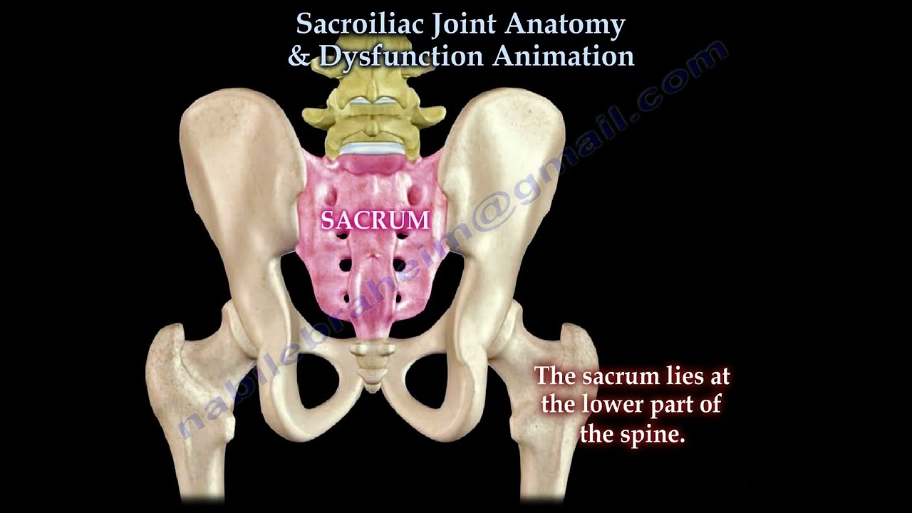 Sacroiliac Joint Dysfunction Anatomy,  Animation