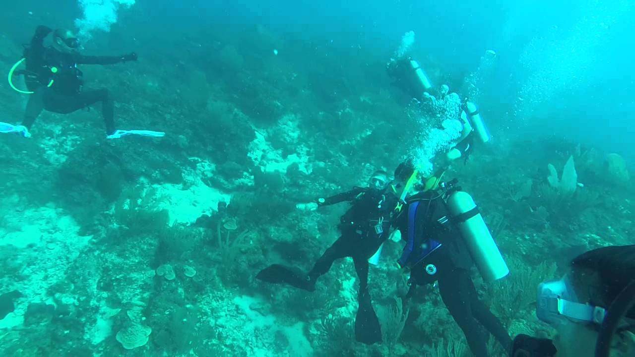 Humpback Whale in St. Maarten, St. Martin whilst Scuba Diving