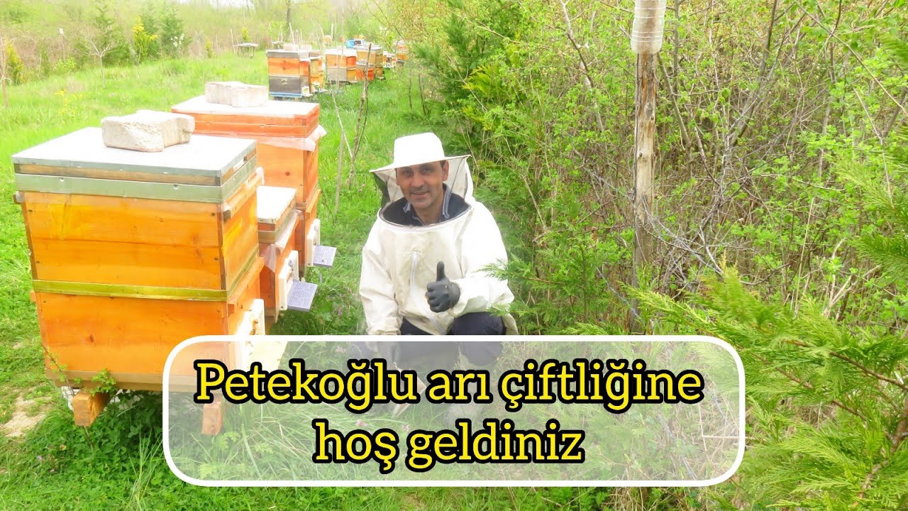 Petekoğlu Tanıtım Videosu