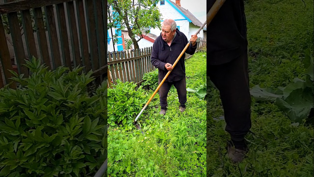 lawn mowing #lawnmowing #grasscutting #lawncare #mowing #yardwork #backyard #gardening  #shorts