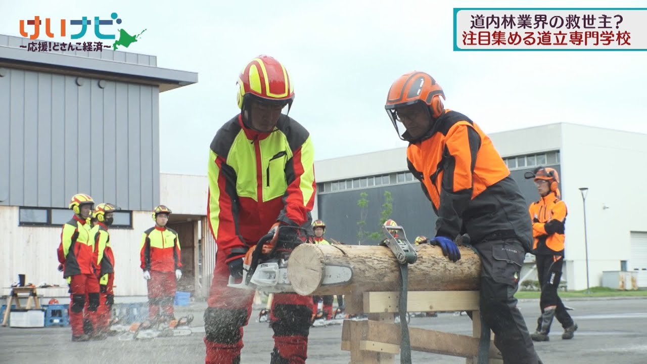 北海道林業のいま　２０２４年６月２９日放送