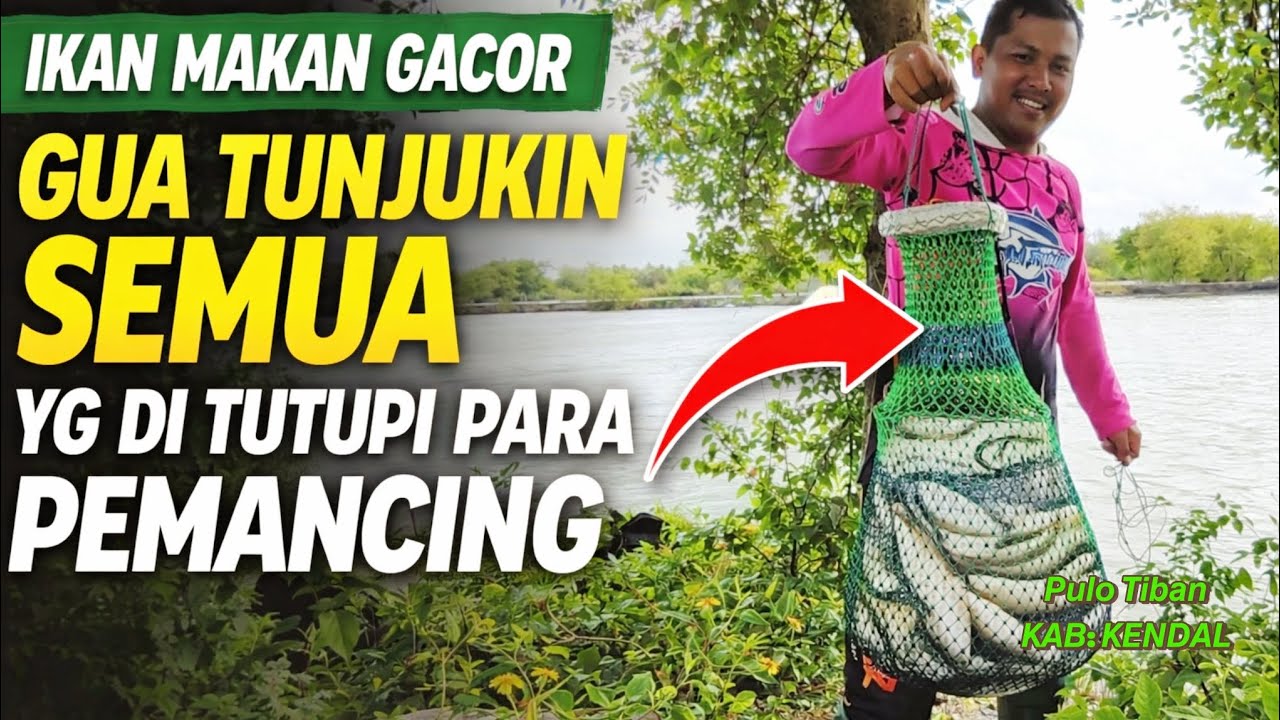 𝙁𝙄𝙎𝙃𝙄𝙉𝙂 𝘼𝘿𝙑𝙀𝙉𝙏𝙐𝙍𝙀 𝙀𝙥. 292‼️BIKIN MELONGO 😍 PULAU TIBAN KENDAL