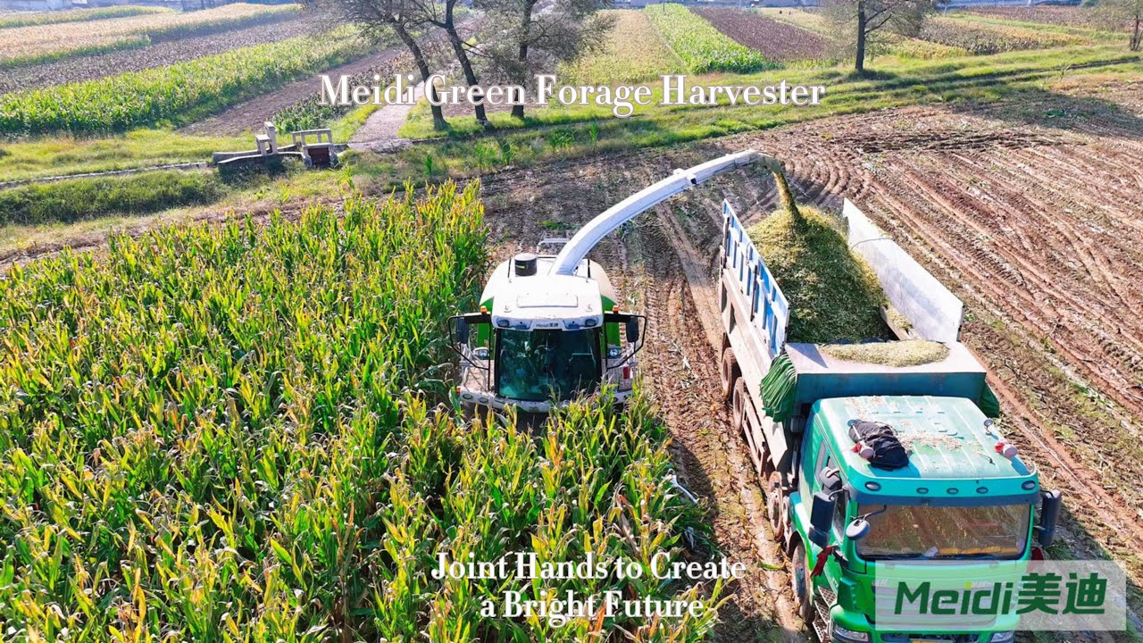 Meidi Forage Harvester &ndash; Guaranteed A+ Harvest🚜🌽