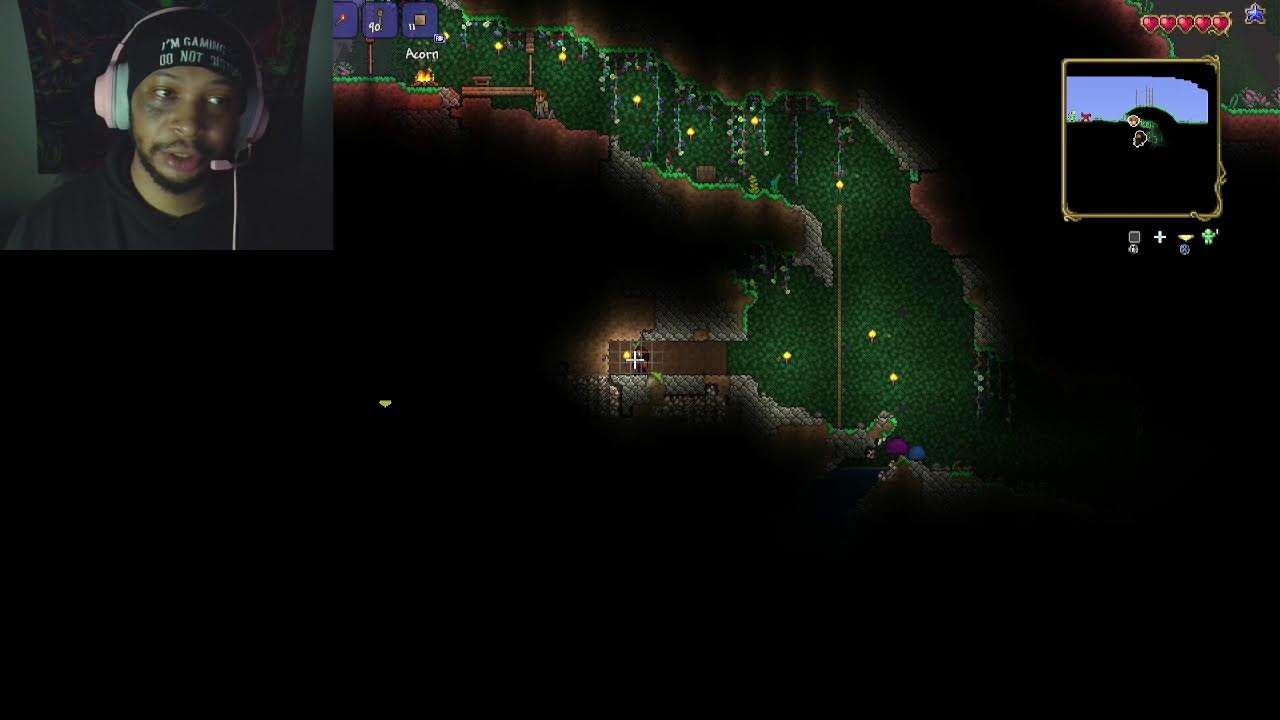Just Another Day in the Life of a Multi-Dimensional Farmer! Stardew then Terraria