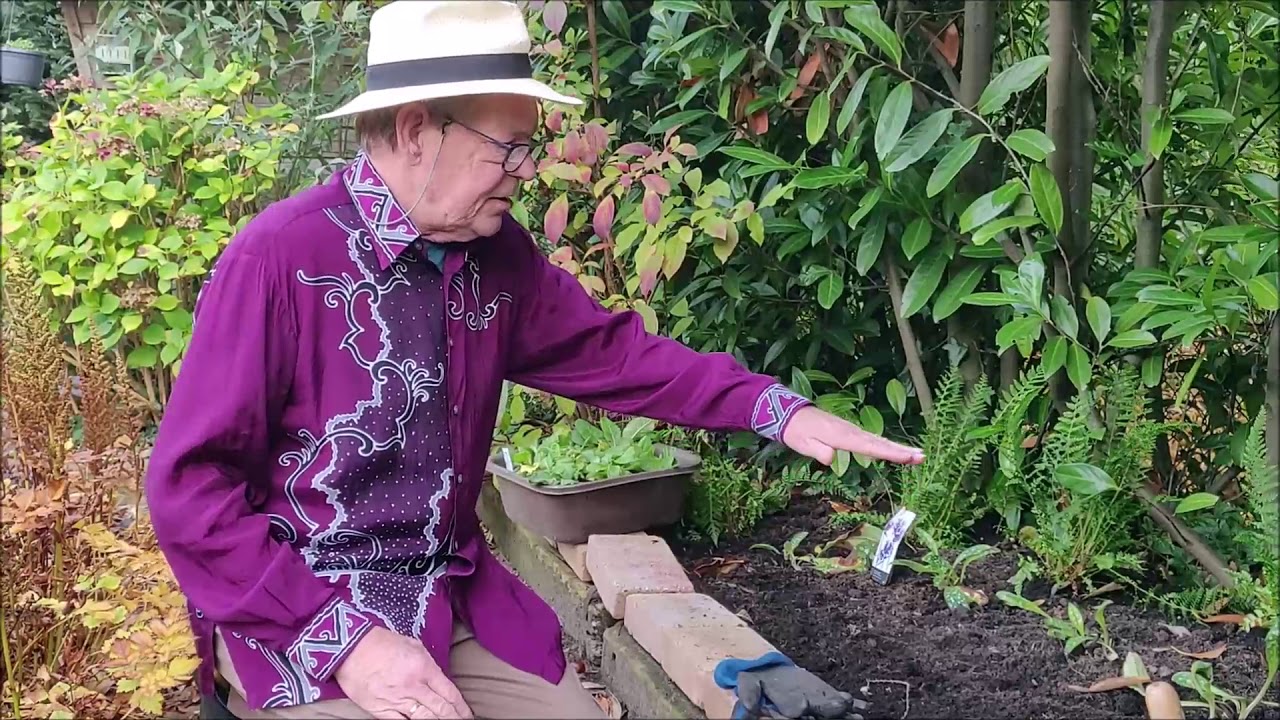 In de tuin bij Henk, aflevering 19, in de Schaduw.